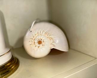 Shell lamp
