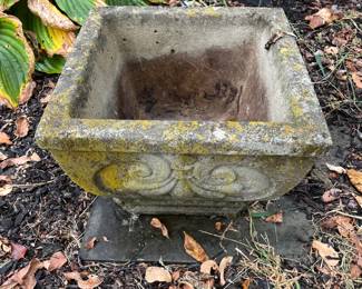 Concrete square planters