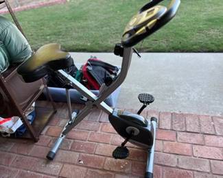 Exerpeutic Exercise Bike