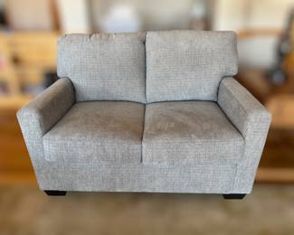 Loveseat - pet friendly
