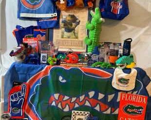 Gator Fan Fun