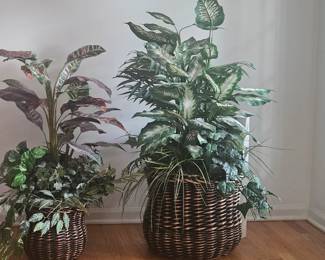 Plant Decor