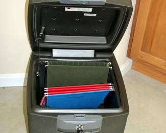 Large Sentry Fire & Water Safe

