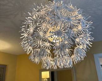 Decorative Ceiling Light Fixture