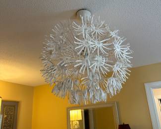 Decorative Ceiling Light Fixture