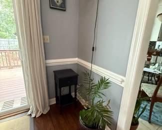 Wall-Mounted Lamp, Live Plants