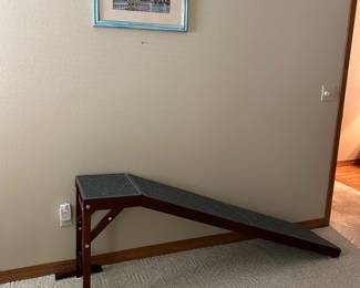 Pet ramp