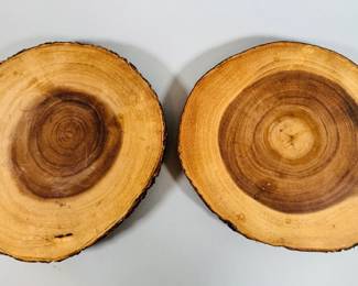 Pair Of Crate & Barrel Acacia Wedge Servers