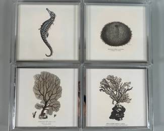 Set Of Four Framed Seashell/Fish Metallic Prints In Acrylic Frame