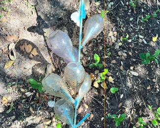 BOTTLE TREE