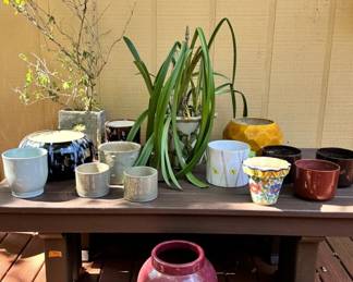 Colorful Ceramic Pots and Planters