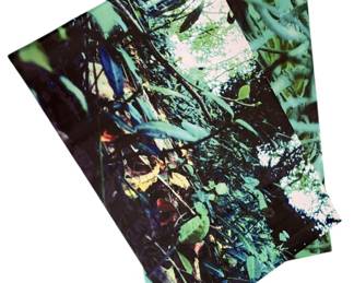 Aquarium Terrarium Vinyl