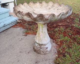 Concrete Bird 🐦 Bath