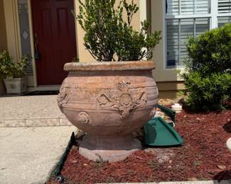Terracotta planters