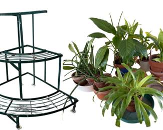 Tiered Metal Plant Stand With Assortment Of Houseplants