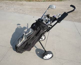 Lot 65. Men's RH golf clubs. King Snake Oversize irons 3-SW, 2 metal woods, putter, ball retriever, Walter Hagen bag, and pull cart.
