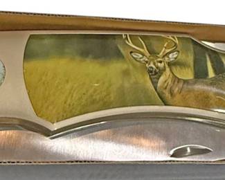 XLarge Folding Buck Knife