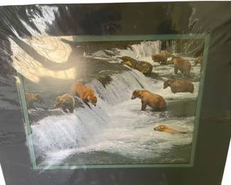 Matted Todd Salat Photograph