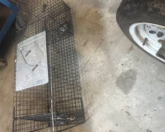 Animal trap