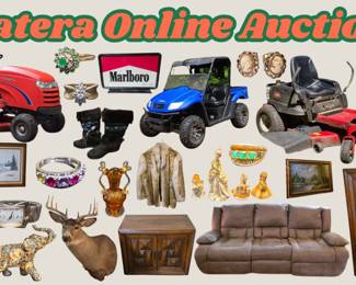 Tetara Online Auction