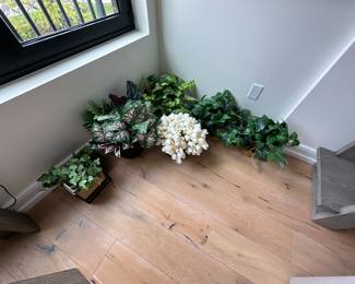 Faux plants; $5 ea. 