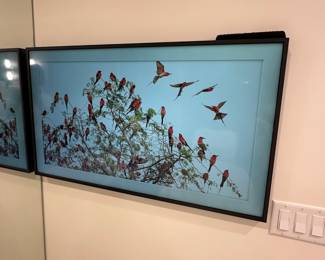 43" Samsung Frame TV with black frame; $400