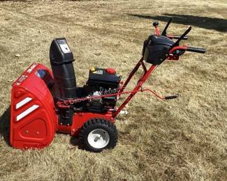 Troy-Bilt 2419 snow blower