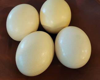 Ostrich eggs