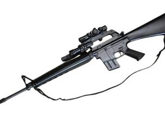 AR Style Rifle 13287