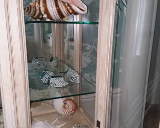 Shells