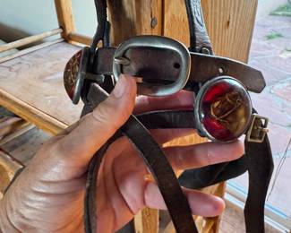 Bridal horse rosettes on harness