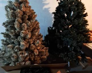 3 CHRISTMAS TREE LOT 
