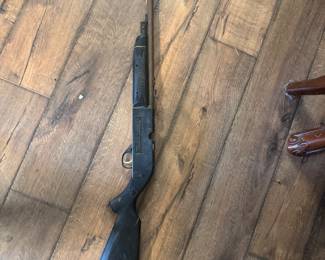Crosman Air gun