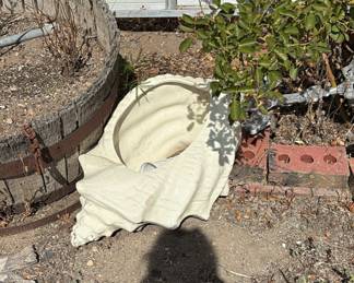 Shell planter