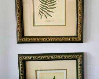 Gold framed Fern Art