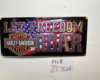 Let Freedom Roar
