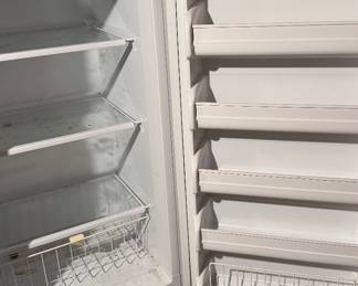 Stand up freezer - works great ! 