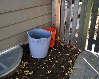 1259Back Yard