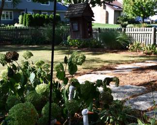 1265Back Yard