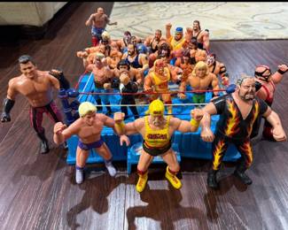 Wrestling Action Figures