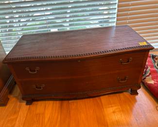 Cedar trunk