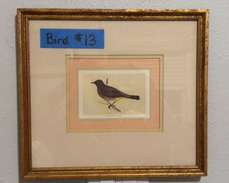 Framed bird print