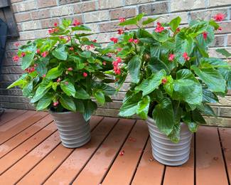 4 grey plant pots.