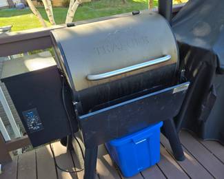 Traeger wood (pellet) gas stove