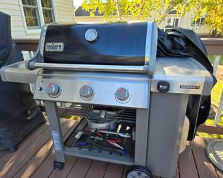 Weber Genesis 2 gas grill