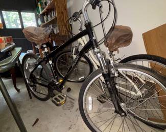 Raleigh bikes his and hers just need air and n the tires and your good to go