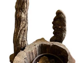Tree Trunk Planter