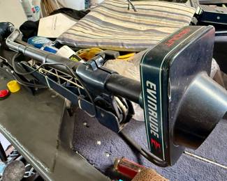 Evinrude boat motor