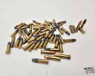 1408 56 Rounds of .22lr and 1 Round of .25 Auto