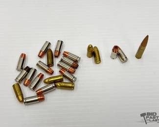1334  21 Rounds of 9mm and 1 Round of 300 AAC Blackout Ammo 